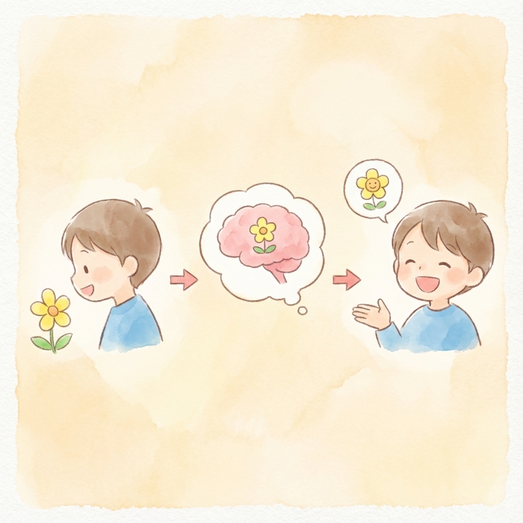 見る力を育てる活動